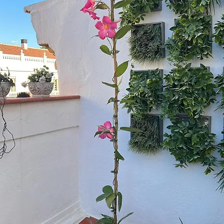 Apartamento Homemalaga ático Comedias *